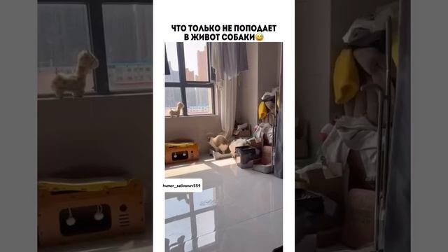 1000058755.mp4