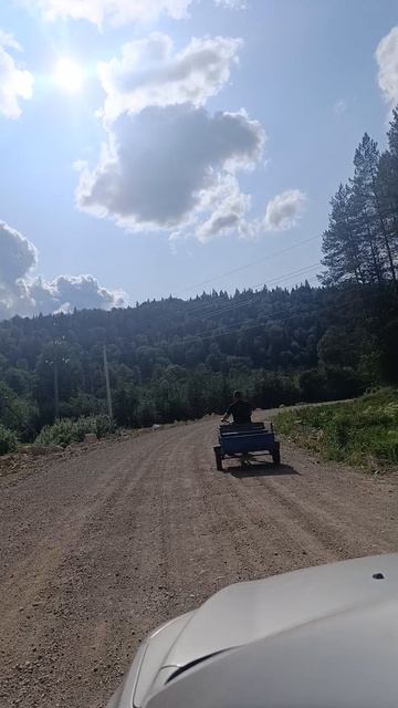 Сельский движ