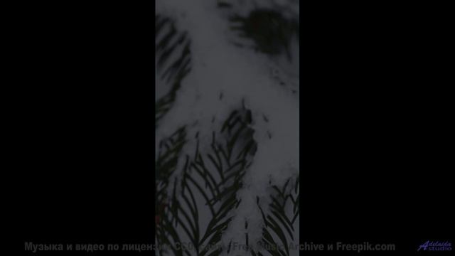 Леса шепчут свои истории вместе с этим треком - Grave Yard Magic -- HoliznaCC0 -- Depression