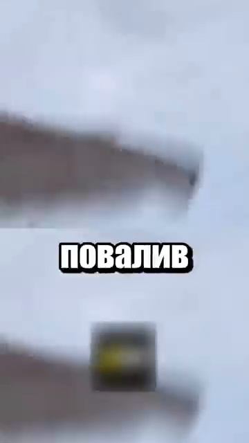i11ushenka (1753)