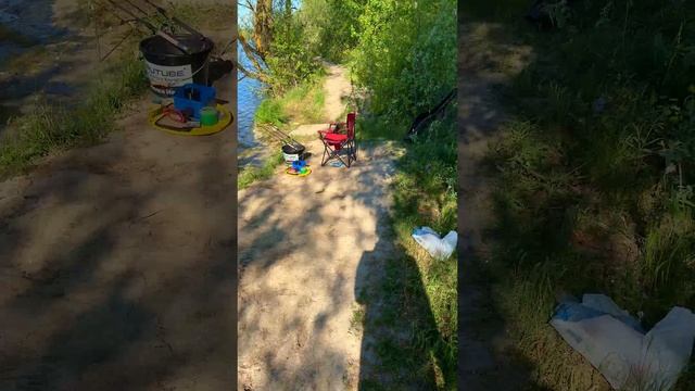 ловля карася ранним утром