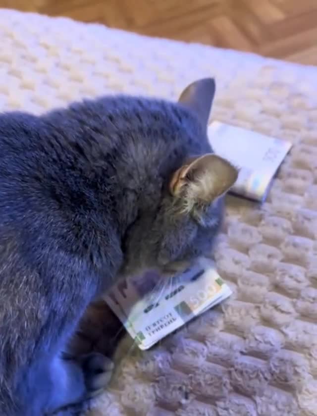 Подпишись 👉 https://vk.com/ykrasheniy_iz_kamny