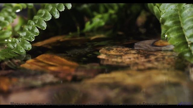 Музыка растекается по телу быстрее любого напитка - Several Unrelated Piano Intros -- Steve Combs --