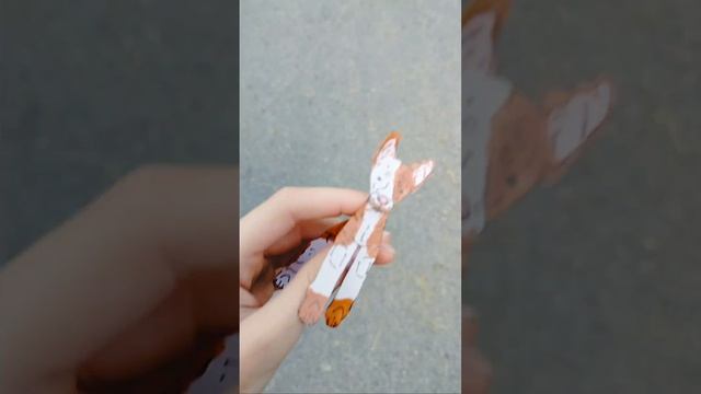 утренняя прогулка с бумажной собакой