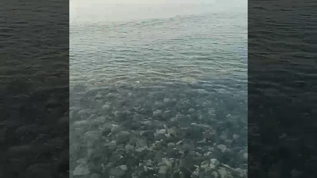 Едим в Сочи, вода где-то+18