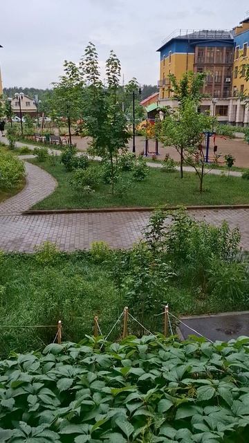 Слабенький дождик сикает С УТРА В ВОСКРЕСЕНЬЕ 🏞