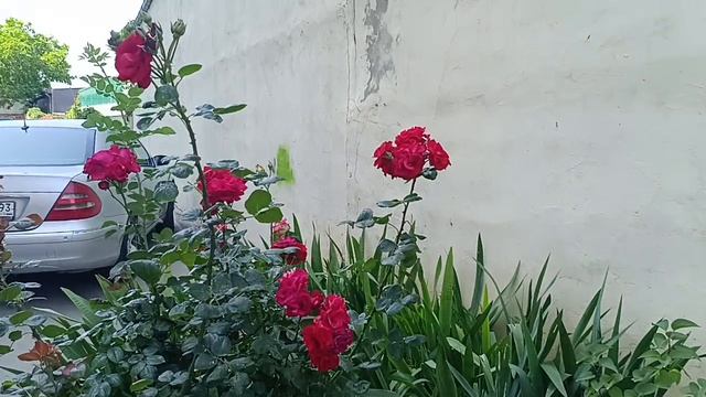 хорошего вам настроения