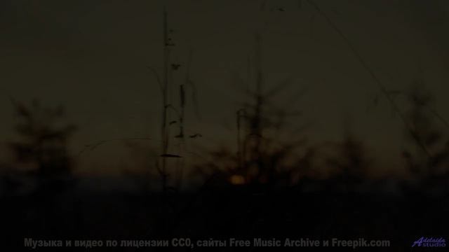 Музыка, которая превращает рассвет в волшебство! - Your Dream World -- Kirk Osamayo -- Season Two (G