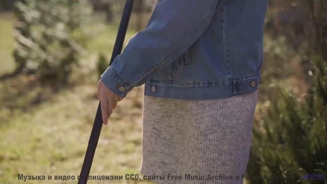 Музыка для цифрового бессмертия - готовы ли вы загрузить своё сознание - Teamwork -- Scott Holmes Mu