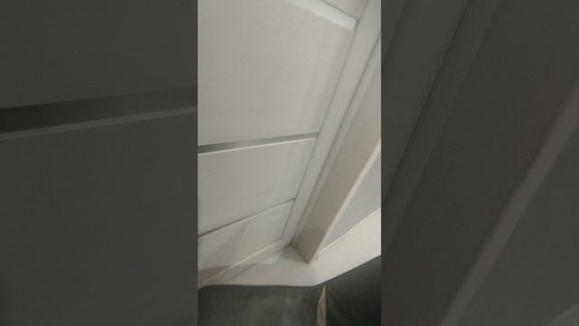 1000005259.mp4