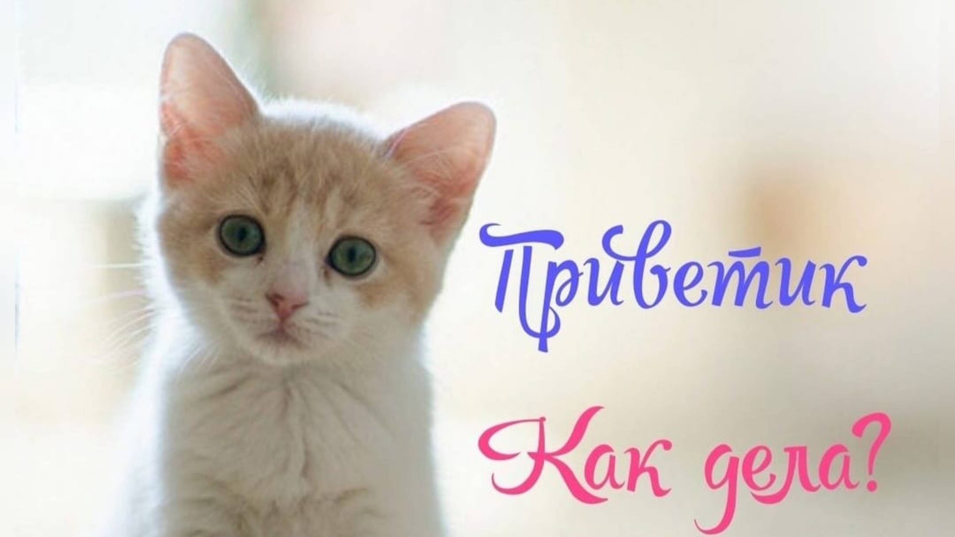Хочу в реки