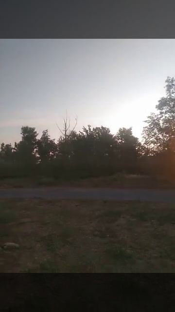 Летнее утро