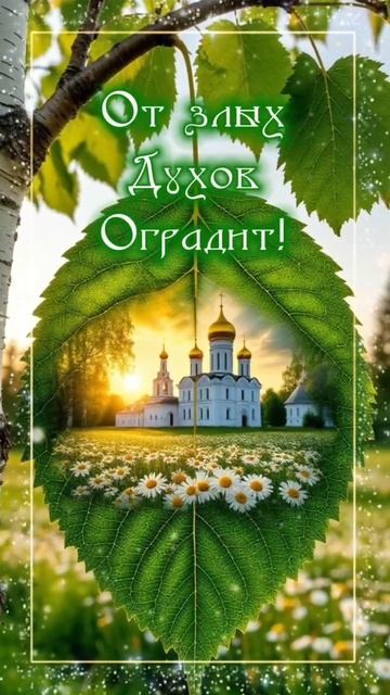 08-06-2025. Троица