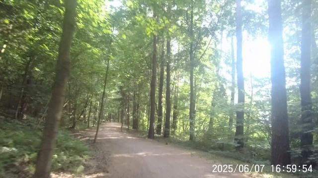 test-2025-06-08_093807