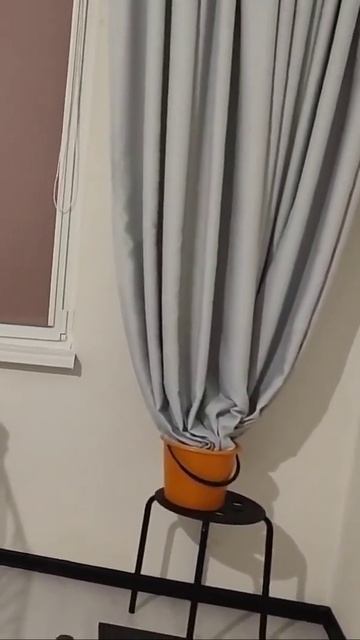 #кобели #передержкасобак