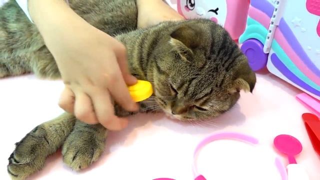 ДИАНА И РОМА - Диана учится ухаживать за котёнком   новые серии