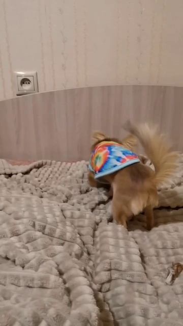 1000057874.mp4