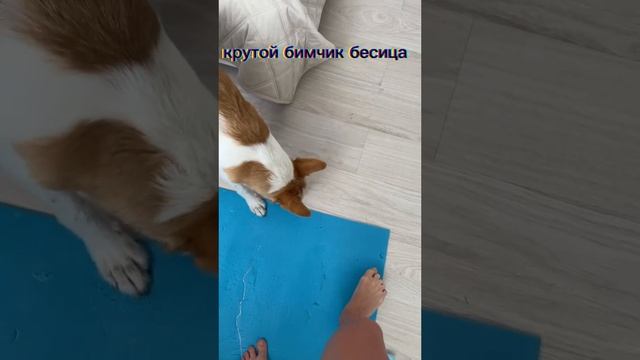 lv_0_20250608102159.mp4