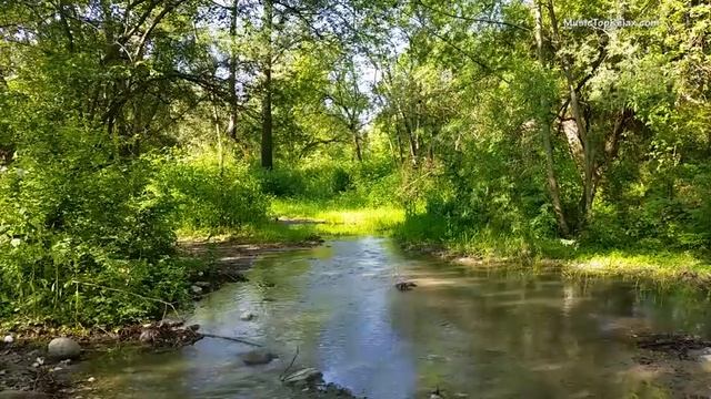 Умиротворяющие звуки природы часть 8