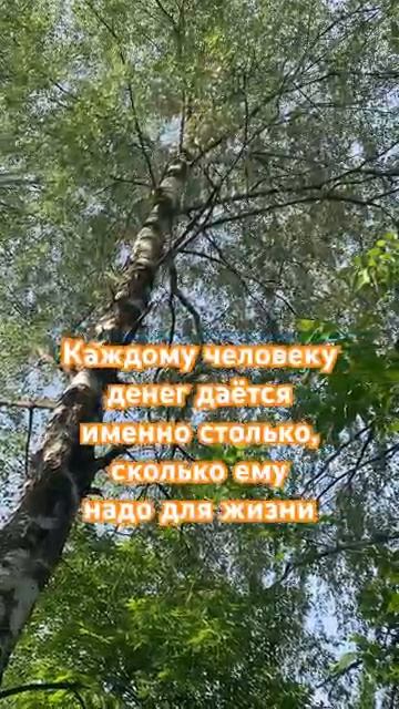Цитата
