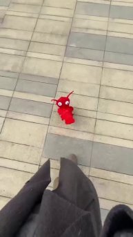 На российских маркетплейсах появились костюмы лобстера для собак и котиков