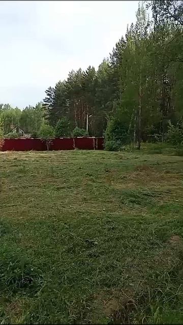 1000322562.mp4