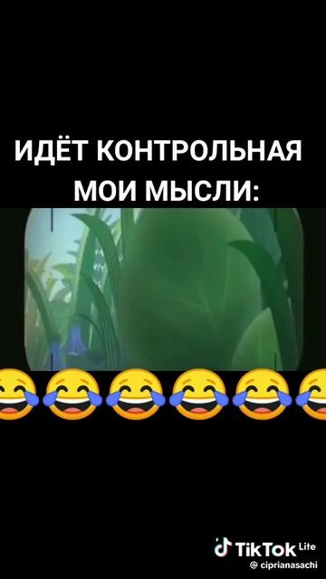 Идёт контрольная мои мысли