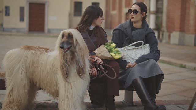 Очки Furla купить в Москве в оптике Стильный филин