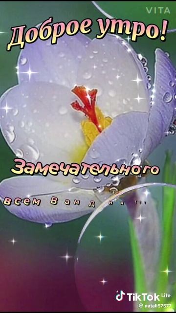 Доброе утро