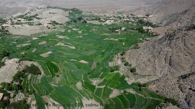 Музыка, которая звучит как гимн свободе! - Fields -- Big Quiet -- Live at Monty Hall, 9152017