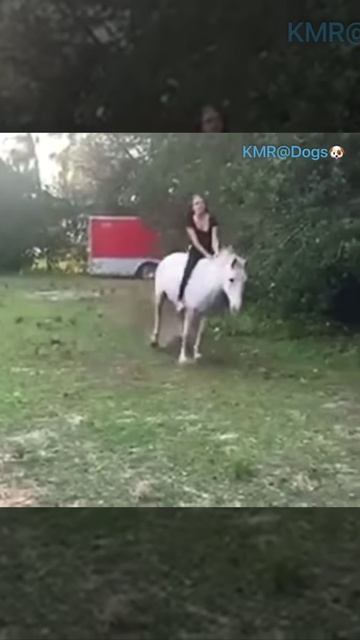 Езда ездой, а обед по расписанию😂