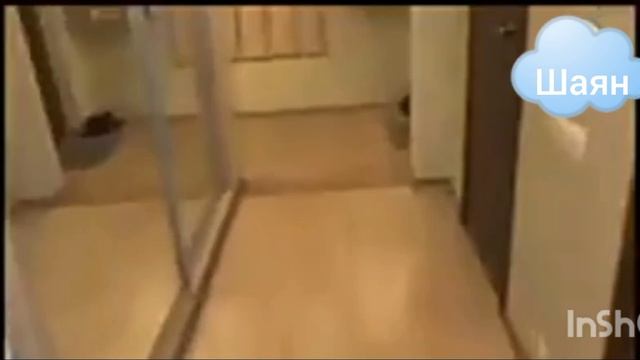 побег от паши раунд 4 но это на татарском языке шаян тв