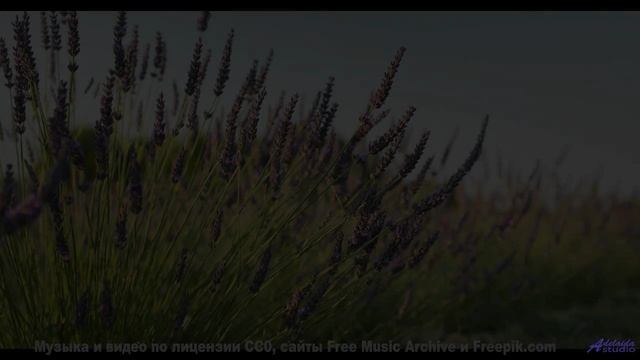 Этот трек УНИЧТОЖАЕТ все другие! - Design Yourself -- Blue Sky Moon -- Prophet and Loss