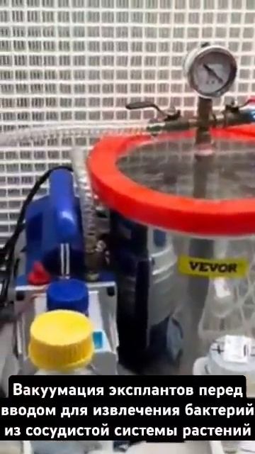 Вакуумация для удаления бактерий из сосудистой систем