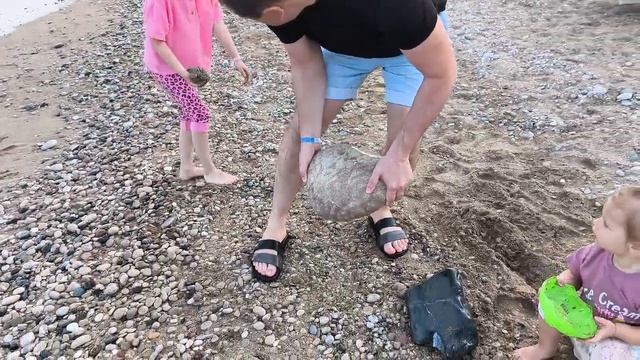 море