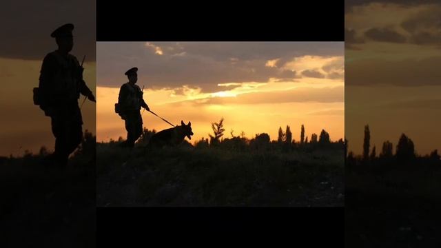 video20250528_144510.mp4
