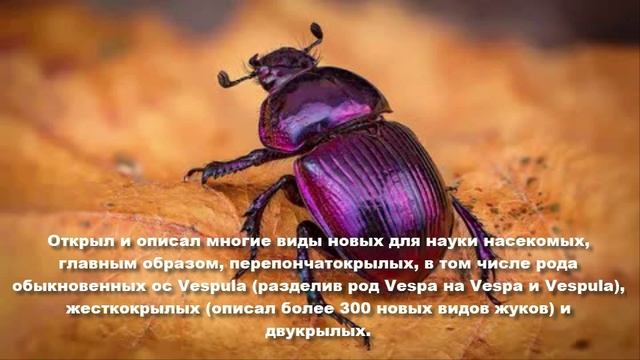 Карл Густаф Томсон