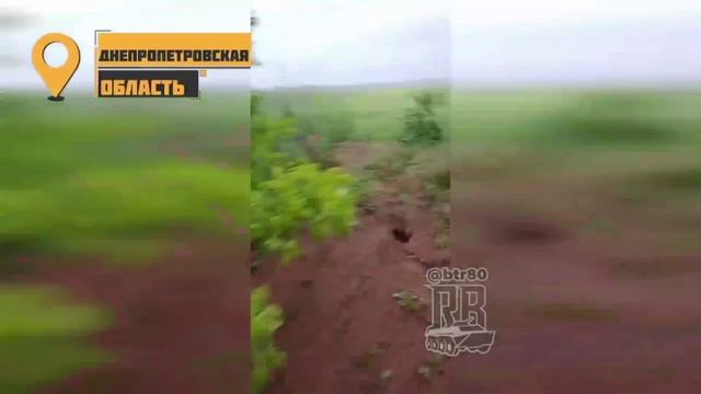 Днепропетровская область 08.06.25г.