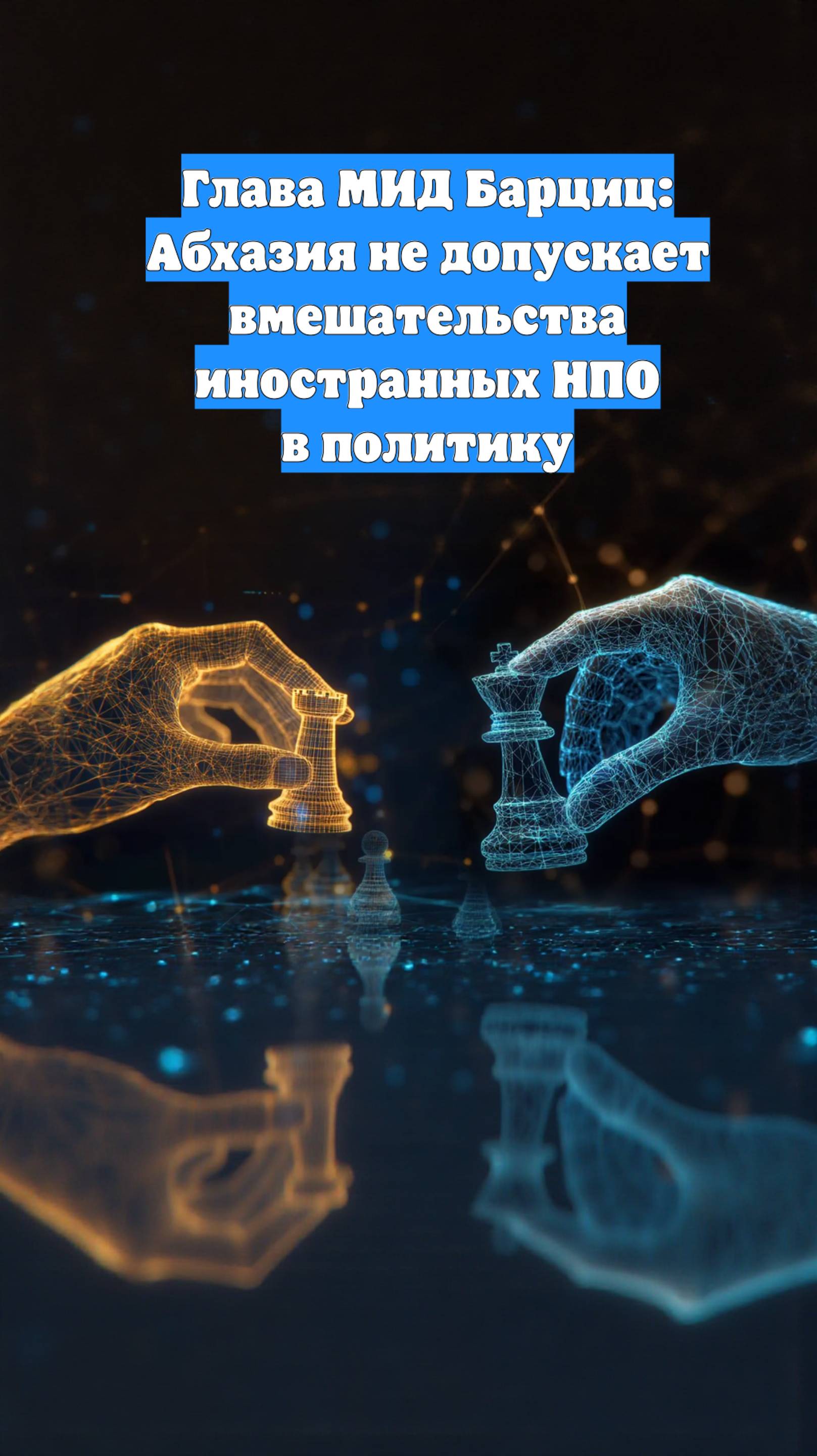 Глава МИД Барциц: Абхазия не допускает вмешательства иностранных НПО в политику