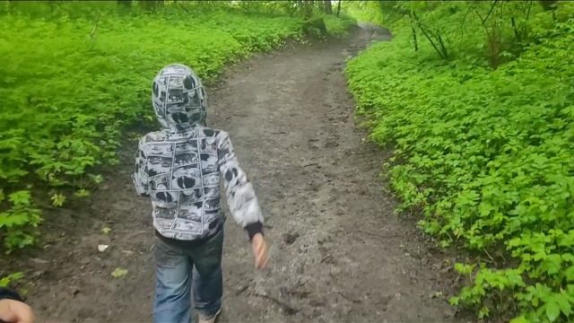 Экотропа Дудергофские высоты под дождём  и Красное село ,
