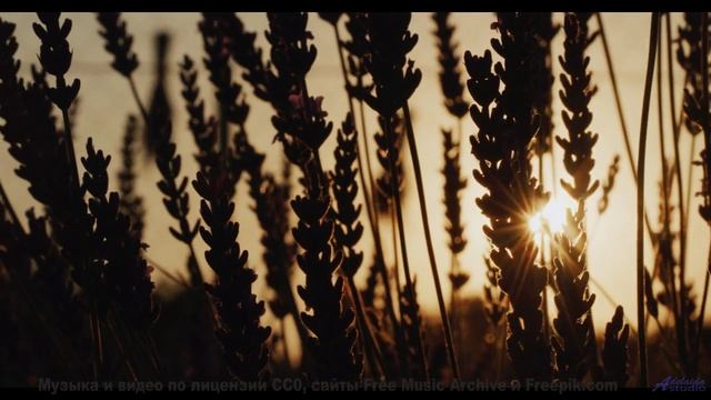 Расслабьтесь. Вдохните. Позвольте музыке унести вас! - Happy Dance -- Cedric Galke -- Unnamed album