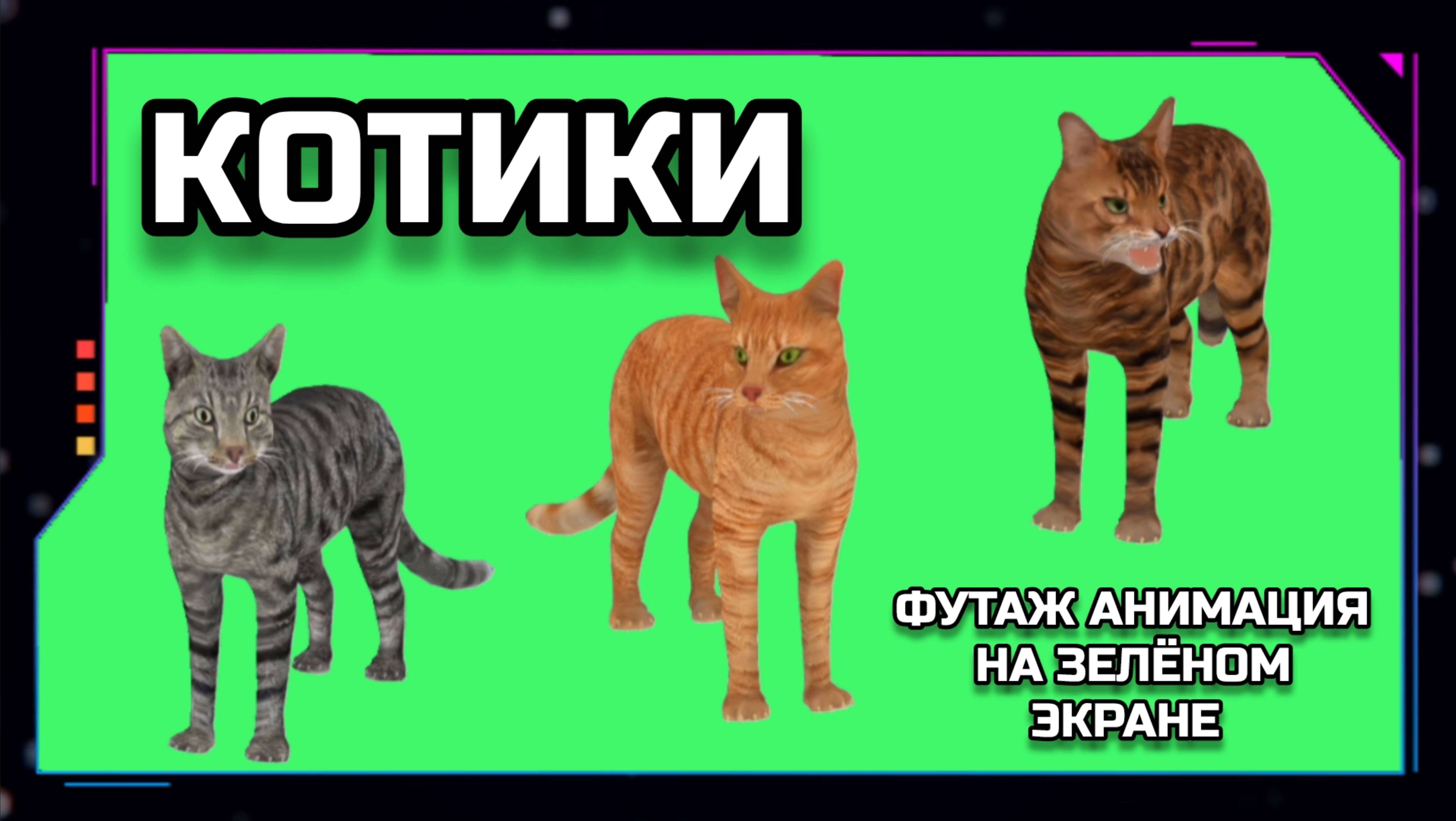 КОТИКИ видео GREEN SCREEN футаж. ХРОМАКЕЙ АНИМАЦИЯ на зелёном экране.