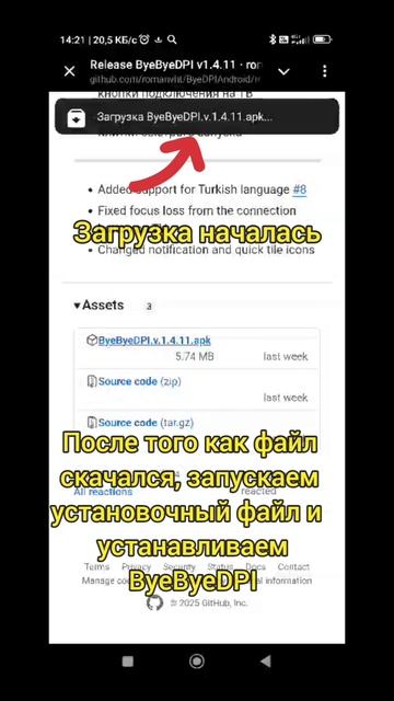 ByeByeDPI для Android