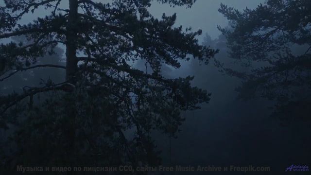 Поля под такой музыкой становятся бесконечными - comes on time -- Tinmouth -- Surprise time
