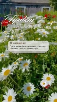 здравствуй новый день