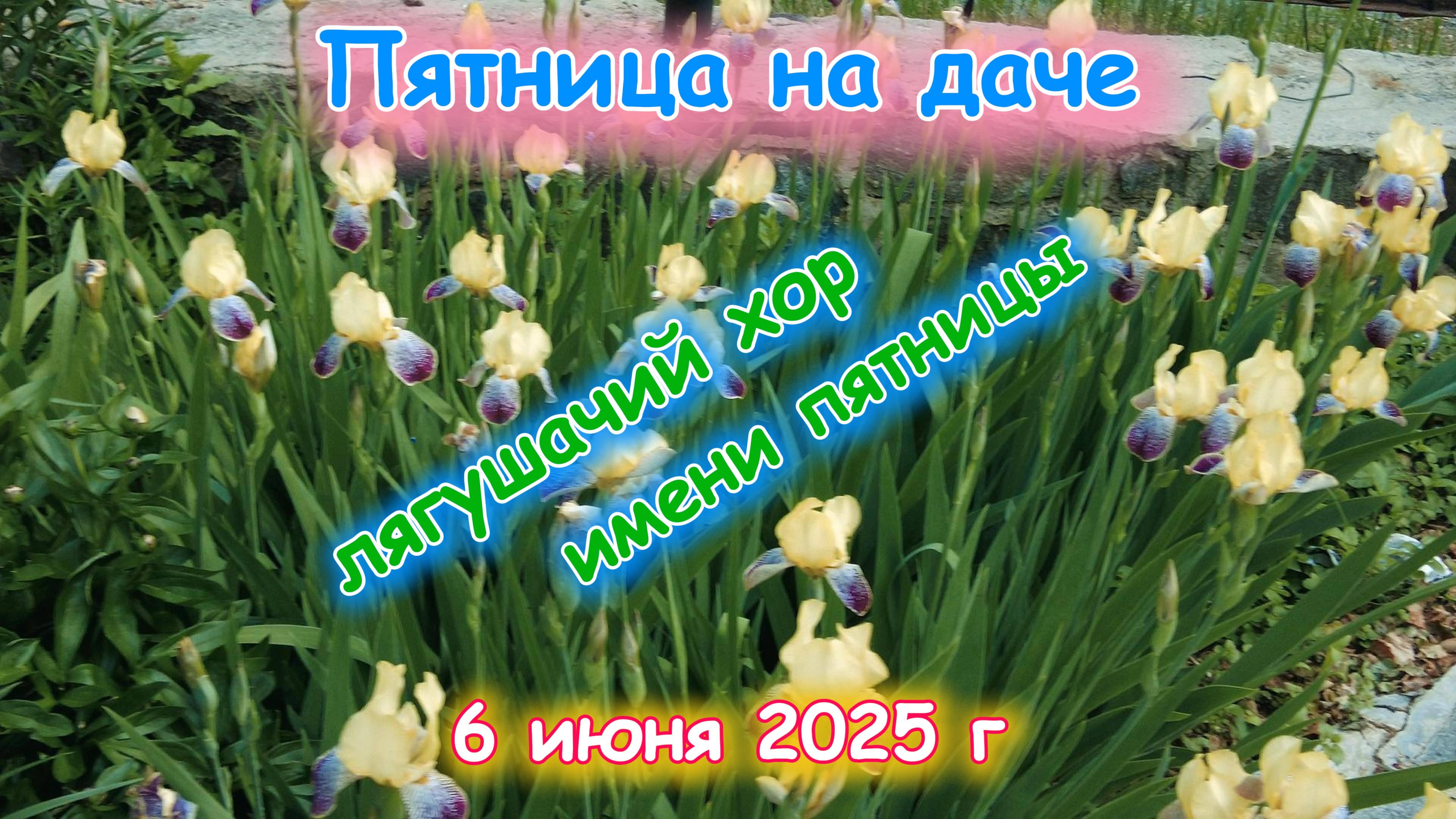 Заслушал концерт лягушек 6 июня 2025 г