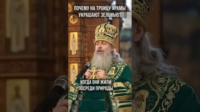 Почему на Троицу храмы украшают зеленью