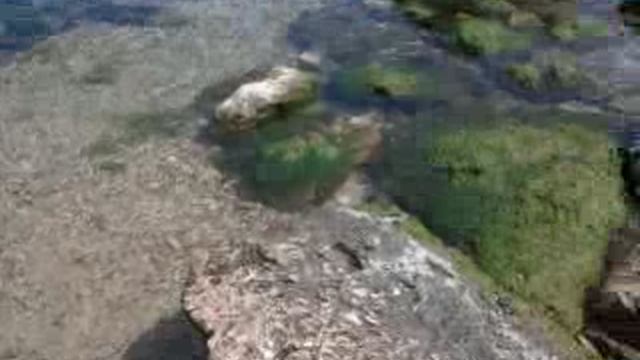 море, водная гладь