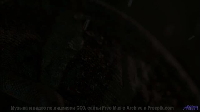 Пейзажи заставляют забыть про реальность с этим саундом - Get Down -- Independent Music Licensing Co