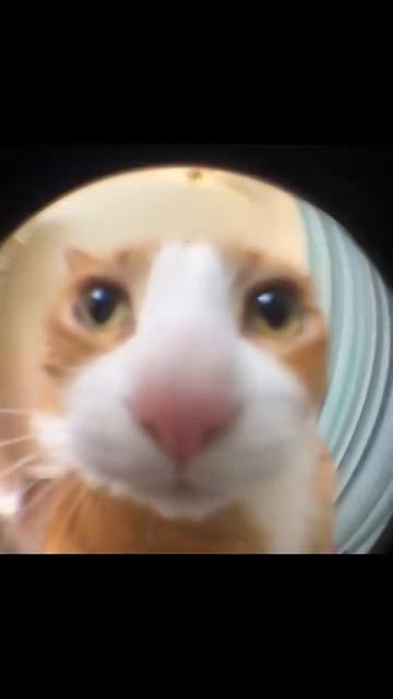 Jfyk